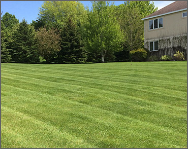 Watertown, SD Lawn Mowing